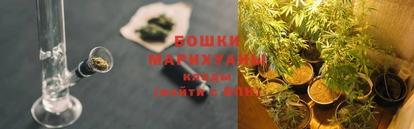 spice Нягань