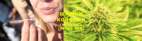 гидра Няндома