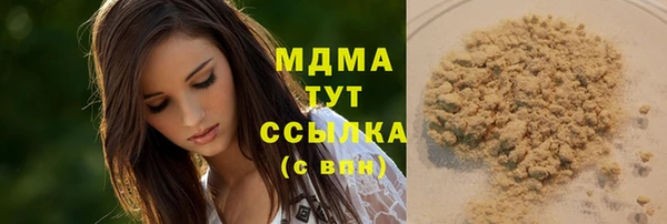 гидра Няндома
