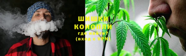 дмт Нязепетровск