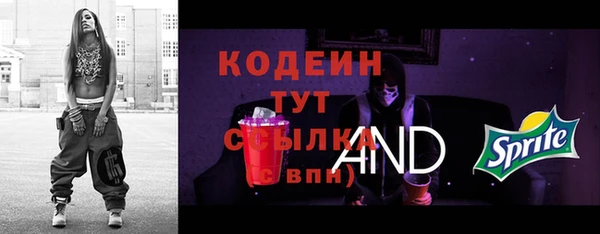 амф Новозыбков
