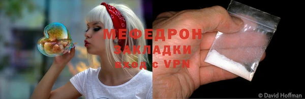 гидра Няндома