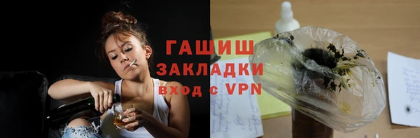 гидра Няндома