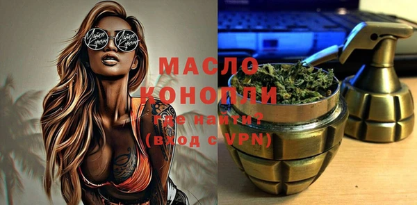 гидра Няндома
