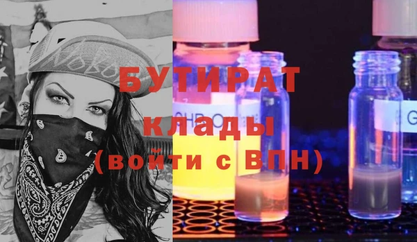 гидра Няндома