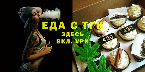 гидра Няндома
