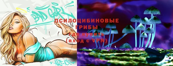 дмт Нязепетровск