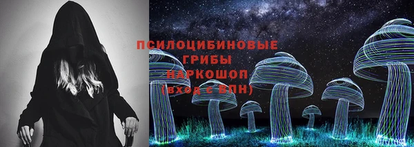 гидра Няндома