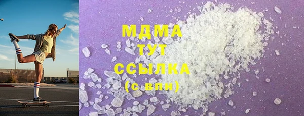 гидра Няндома