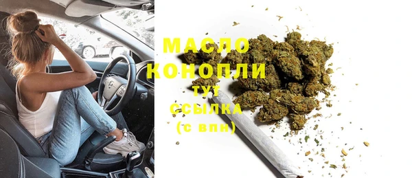 гидра Няндома