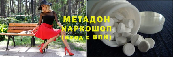 гидра Няндома